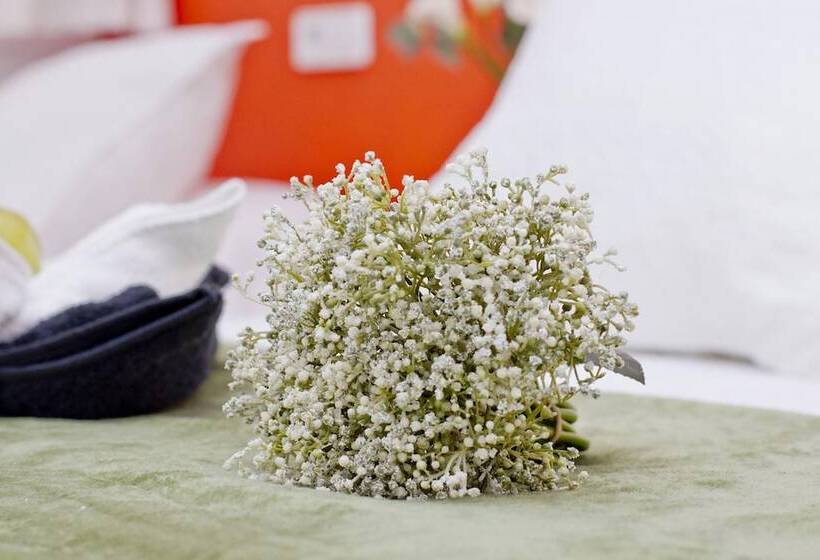 Общежитие Barcelona City North Hostal