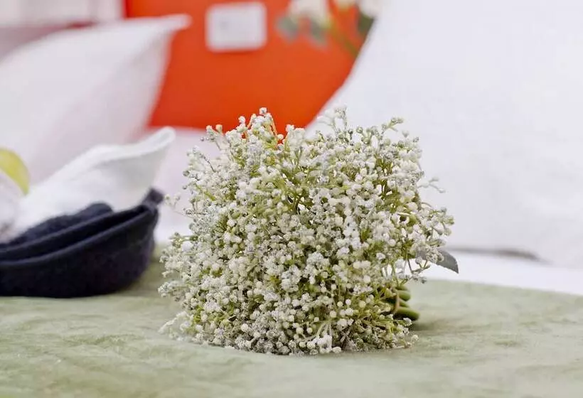 Общежитие Barcelona City North Hostal