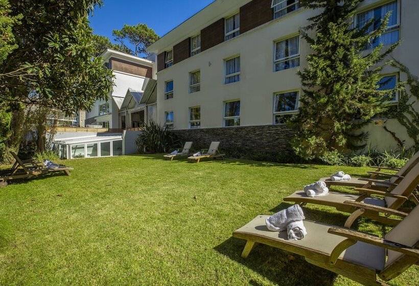 Hotel Awa Boutique + Design