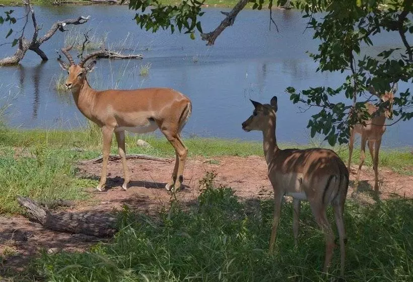 Szálloda Boschdal Guesthouse