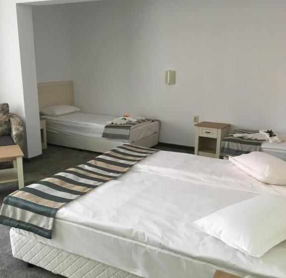 Mena Palace Hotel   All Inclusive