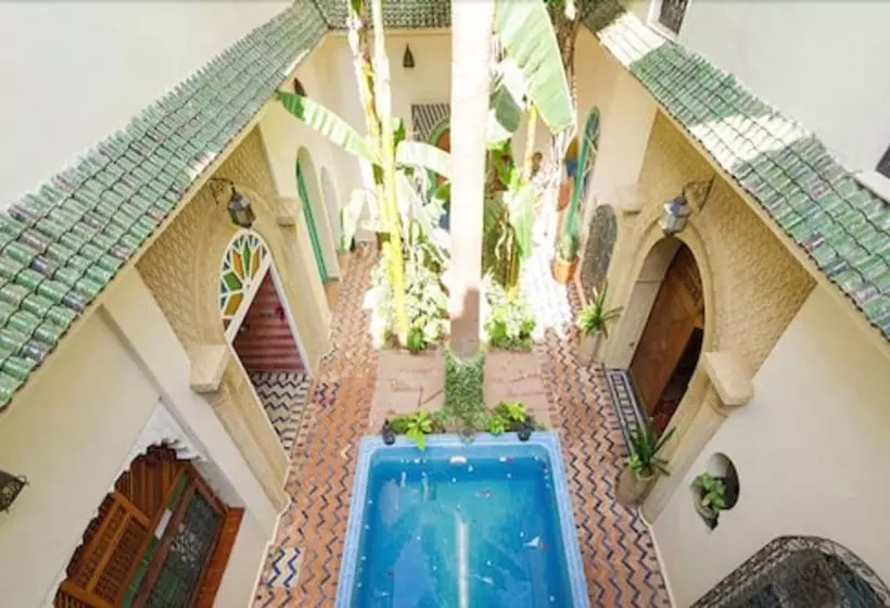هتل Riad Maison Araboandalouse