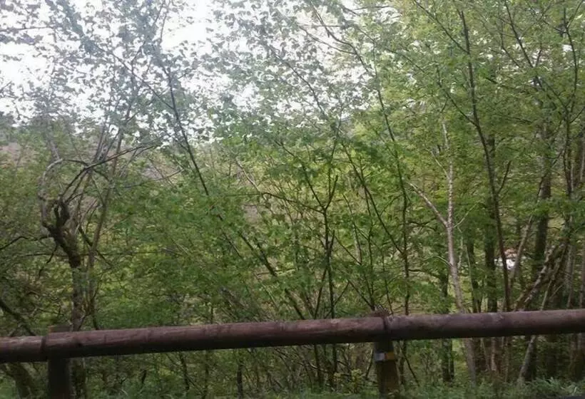 ユースホステル El Roblón De Cabuerniga