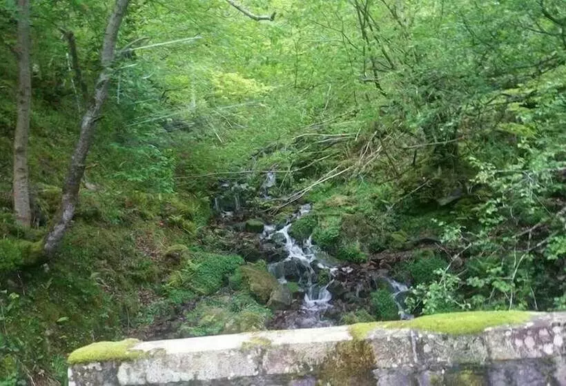 ユースホステル El Roblón De Cabuerniga