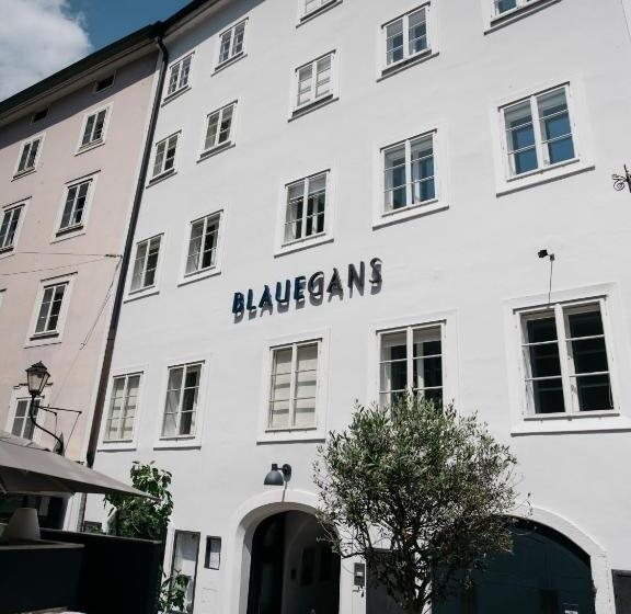 Arthotel Blaue Gans