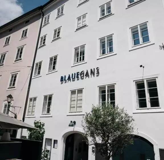 Arthotel Blaue Gans