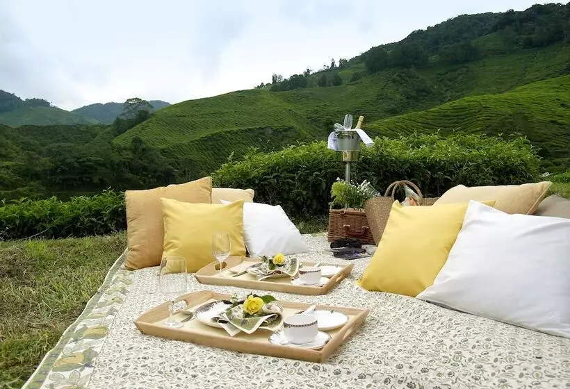 酒店 Cameron Highlands Resort