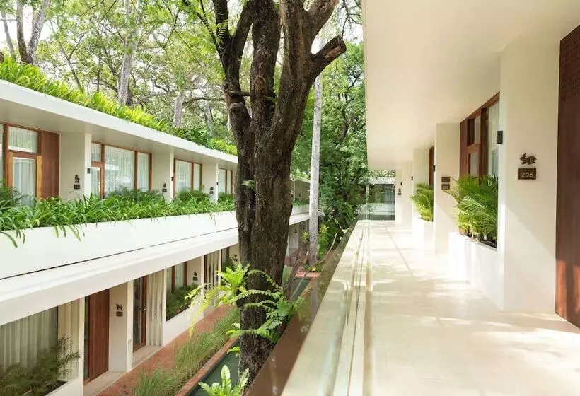 酒店 Fcc Angkor By Avani