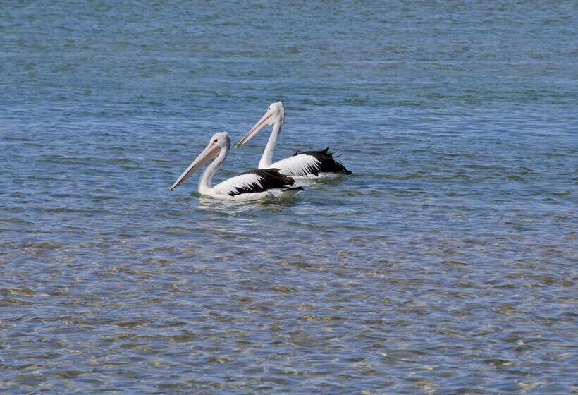 فندق Oaks The Entrance Waterfront Suites