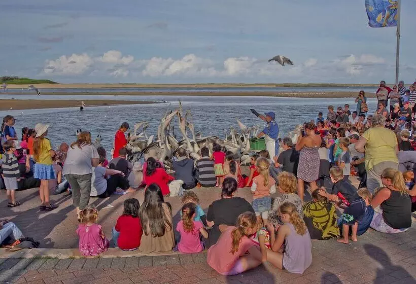 酒店 Oaks The Entrance Waterfront Suites