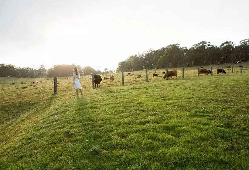 Отель Spicers Peak Lodge