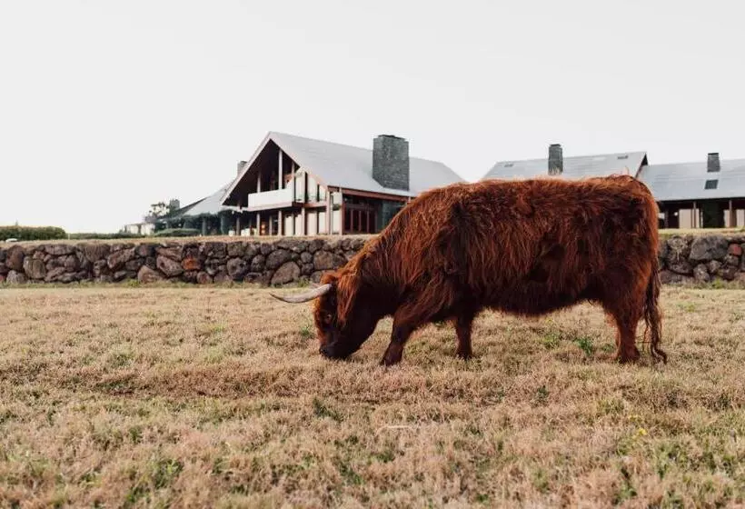 Отель Spicers Peak Lodge
