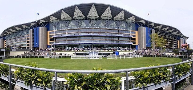 Отель The Pinewood