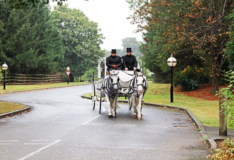 Отель The Pinewood