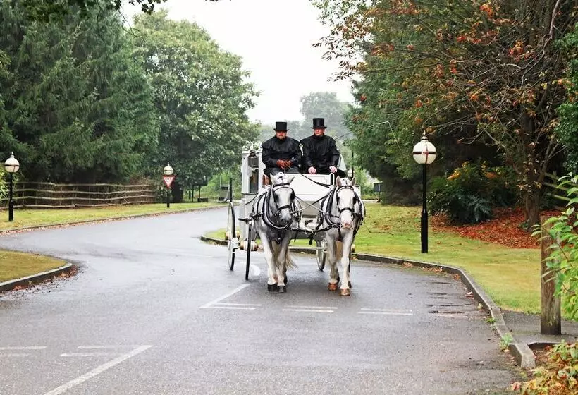 ホテル The Pinewood