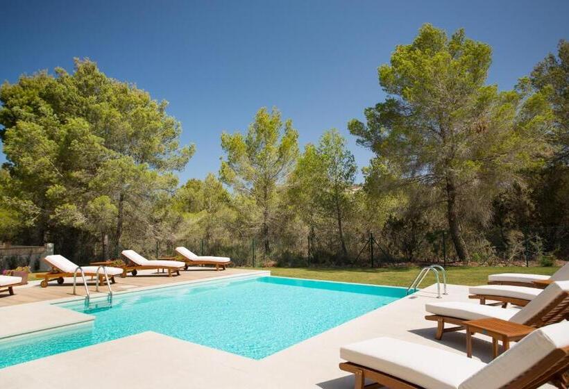 Insotel Club Tarida Playa