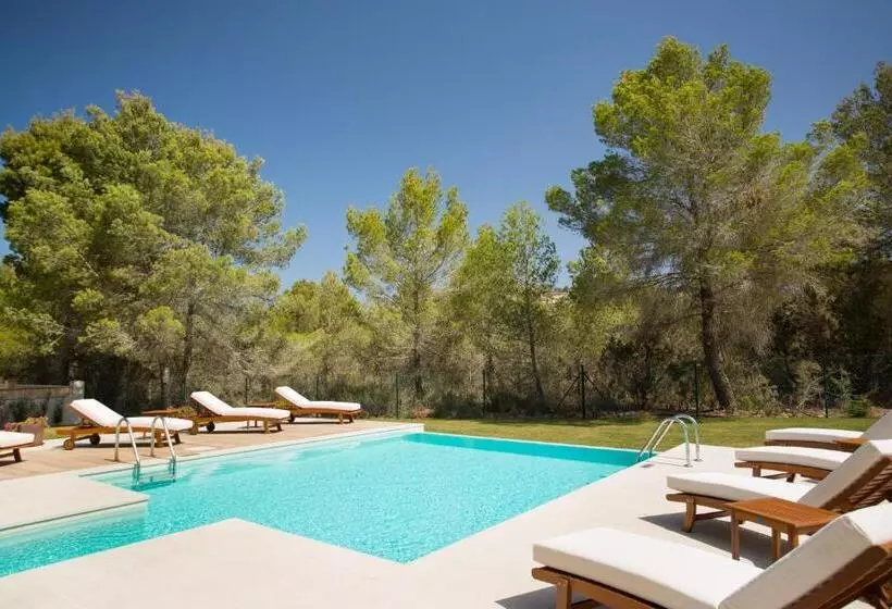 Insotel Club Tarida Playa