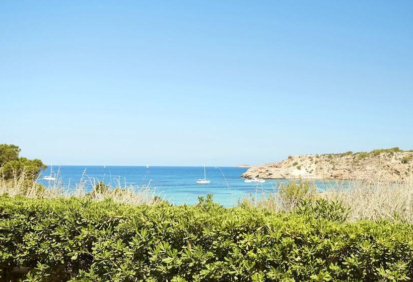 Insotel Club Tarida Playa