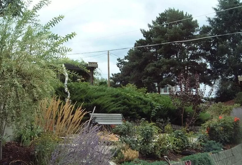 Hotel Above The Beach Guest Suites