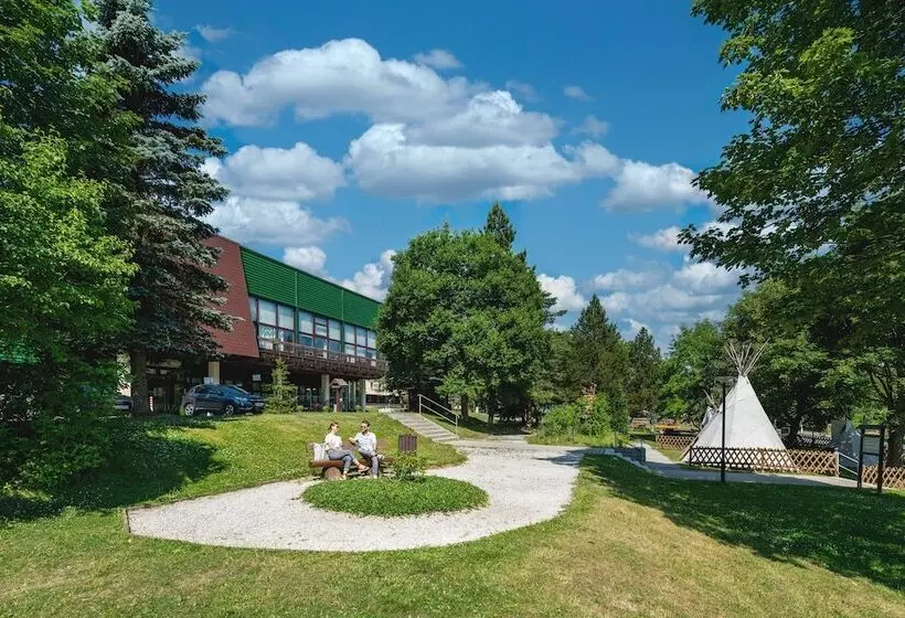 Ahorn Waldhotel Altenberg