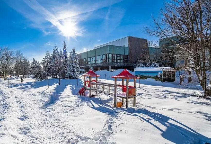 Ahorn Waldhotel Altenberg