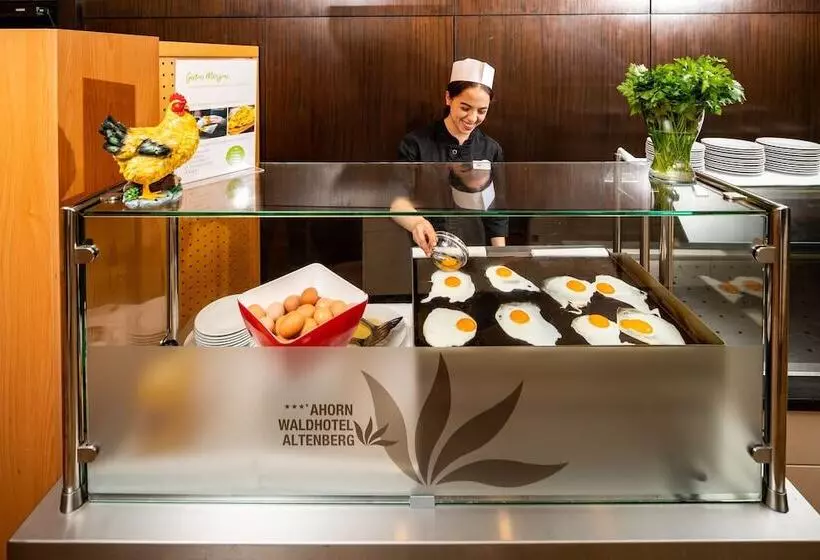 Ahorn Waldhotel Altenberg