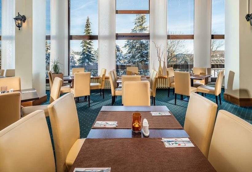 Ahorn Waldhotel Altenberg