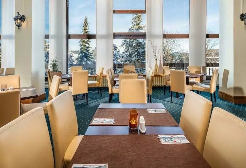 Ahorn Waldhotel Altenberg