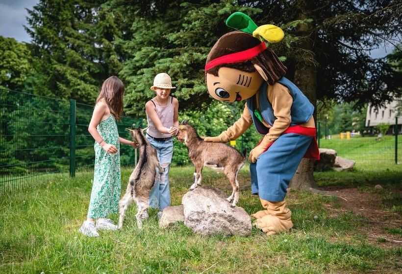 Ahorn Waldhotel Altenberg