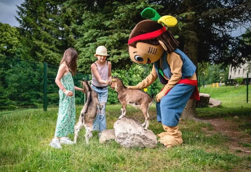 Ahorn Waldhotel Altenberg