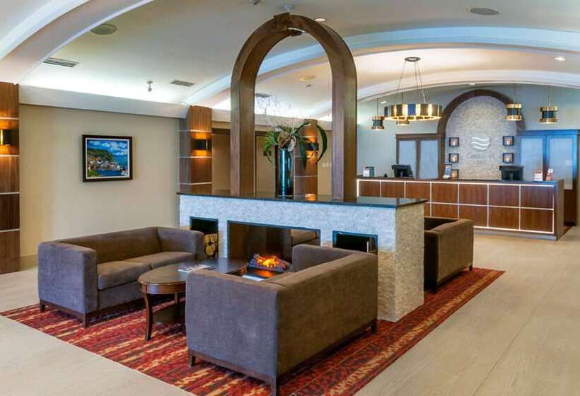 هتل Comfort Airport