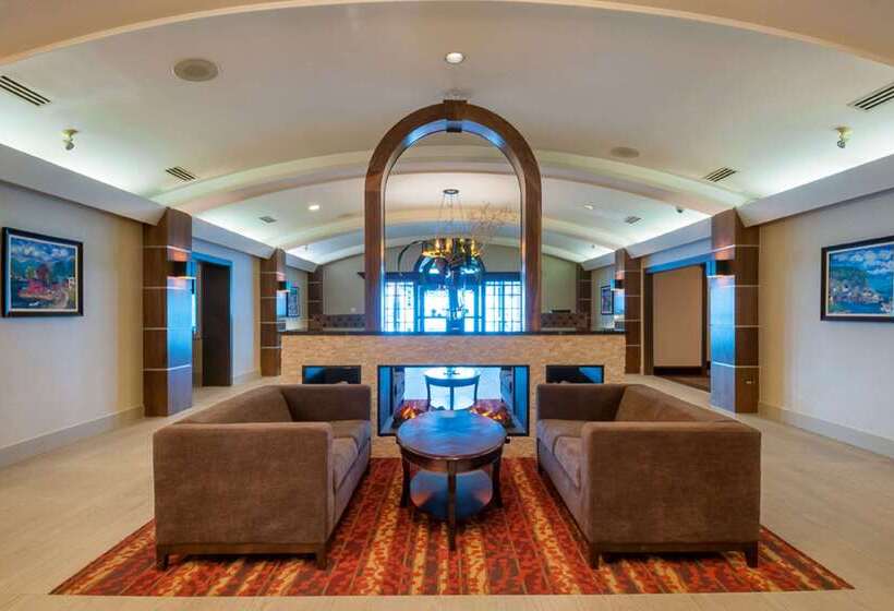 هتل Comfort Airport