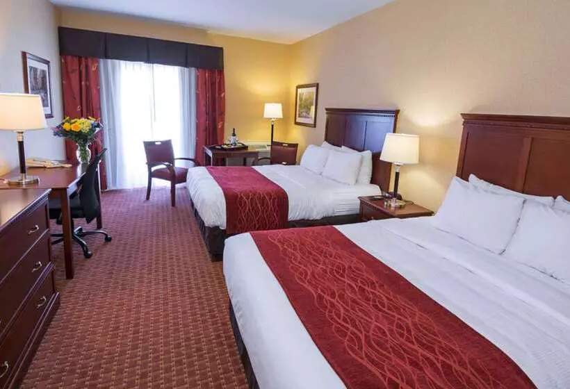 Отель Comfort Airport