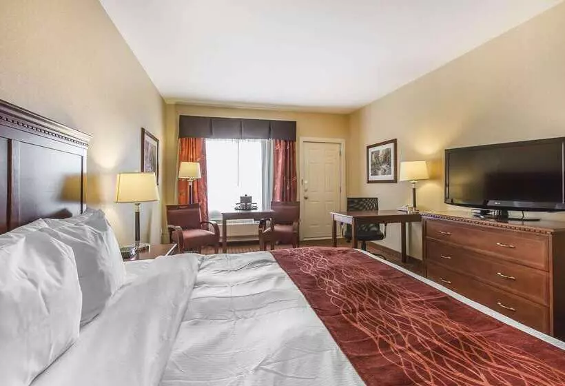 Отель Comfort Airport