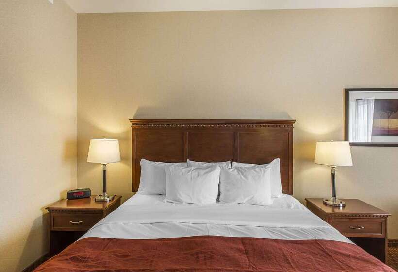 هتل Comfort Airport