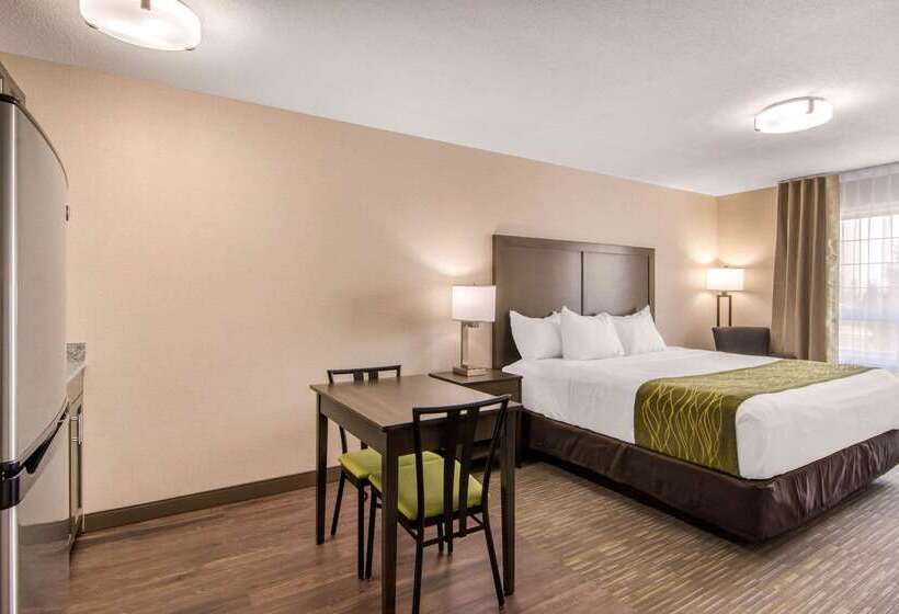 هتل Comfort Inn & Suites