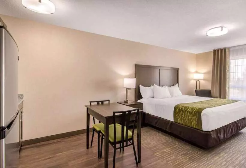 酒店 Comfort Inn & Suites