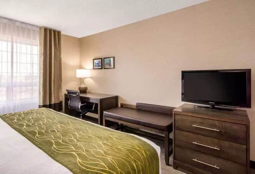 酒店 Comfort Inn & Suites