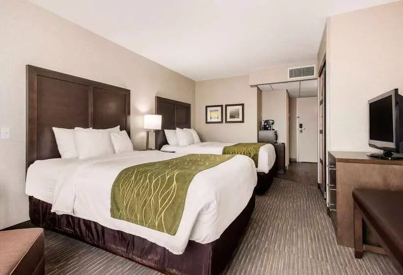 酒店 Comfort Inn & Suites