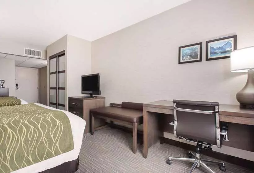 酒店 Comfort Inn & Suites