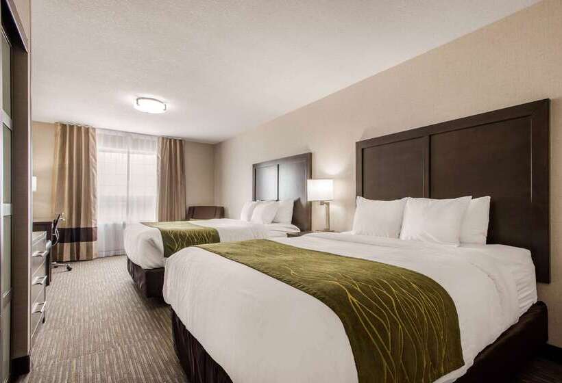 هتل Comfort Inn & Suites