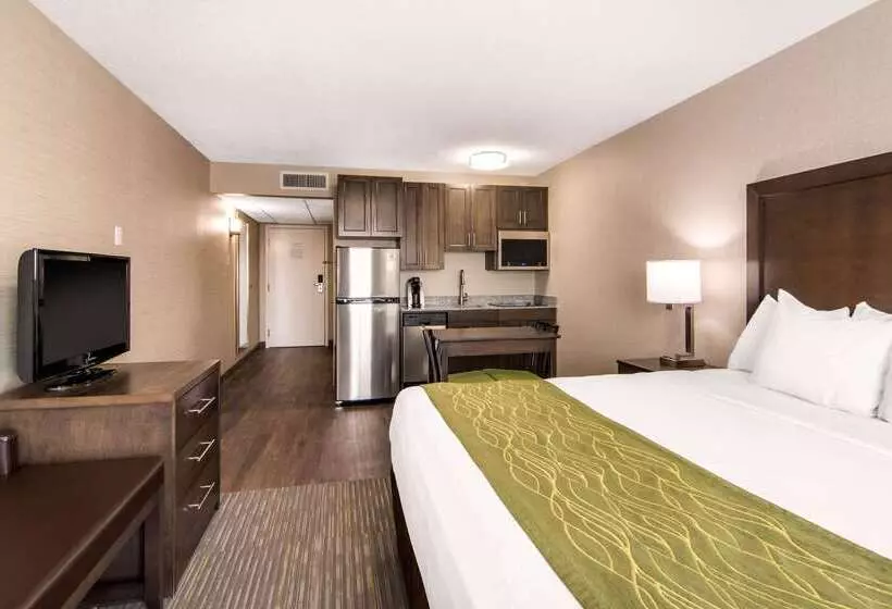 酒店 Comfort Inn & Suites
