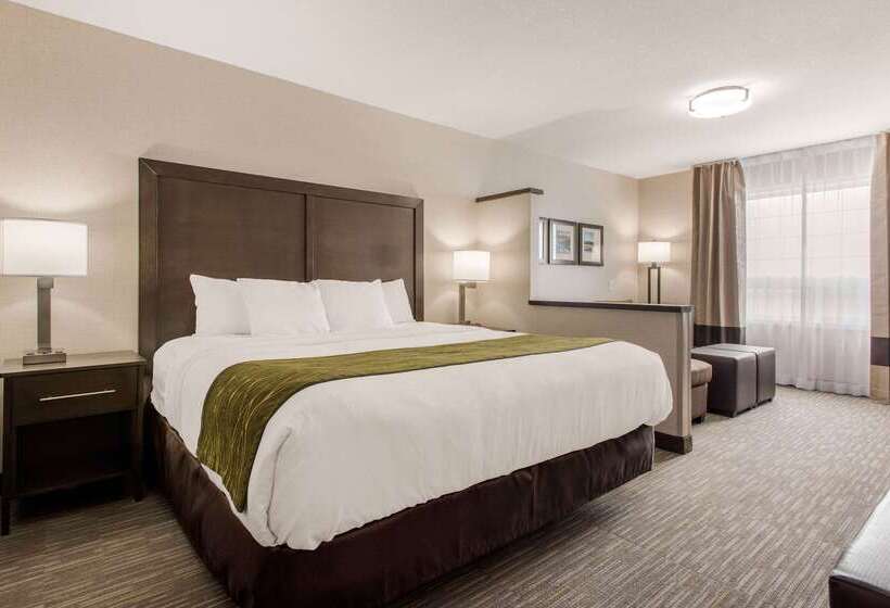 هتل Comfort Inn & Suites