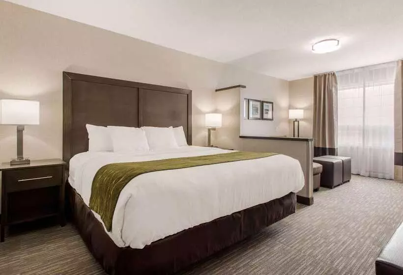 酒店 Comfort Inn & Suites