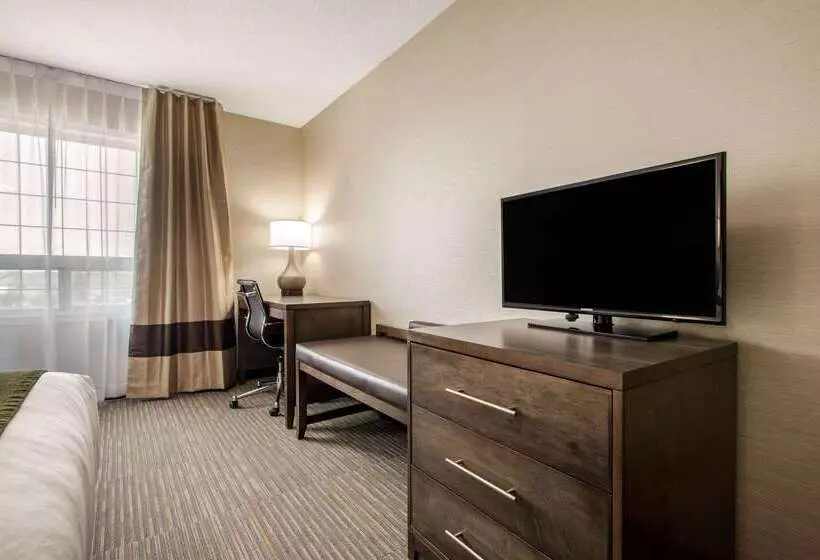 酒店 Comfort Inn & Suites