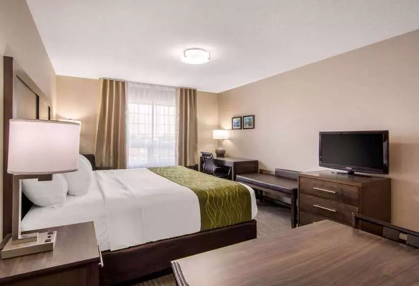 酒店 Comfort Inn & Suites