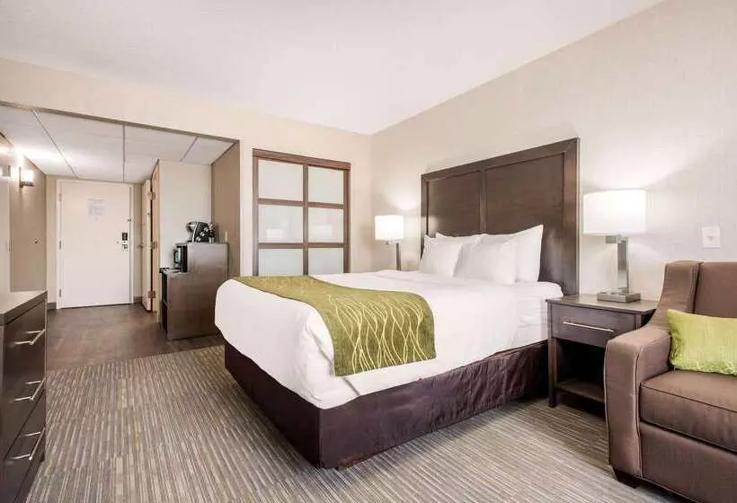 酒店 Comfort Inn & Suites