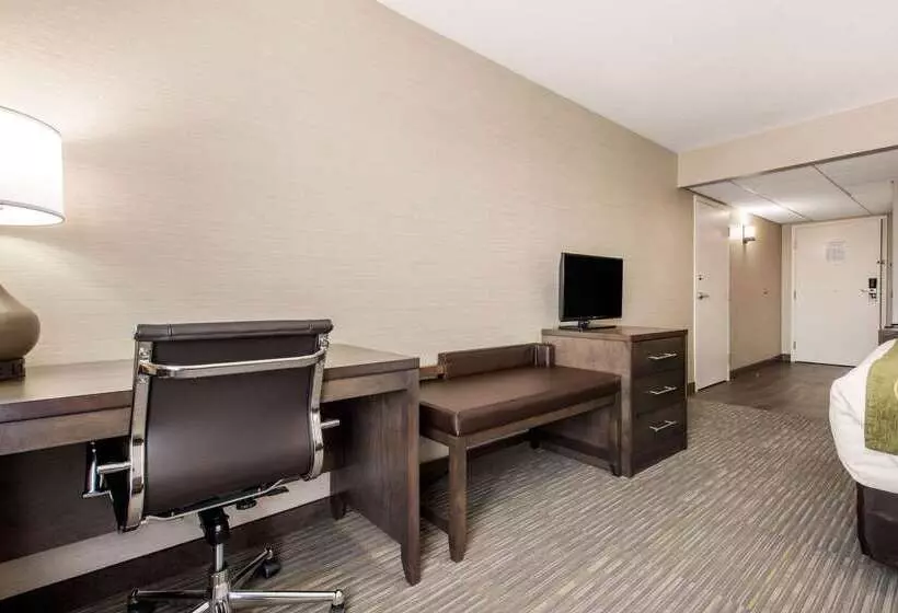 酒店 Comfort Inn & Suites