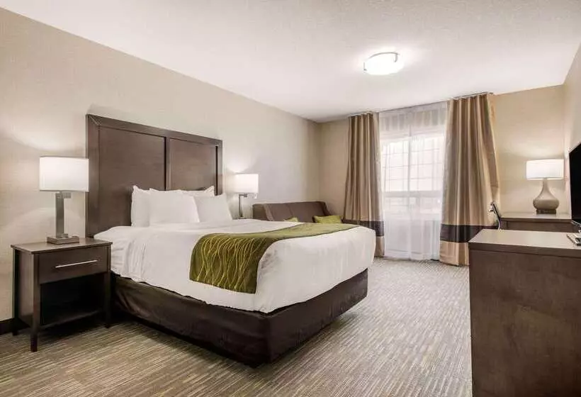 酒店 Comfort Inn & Suites