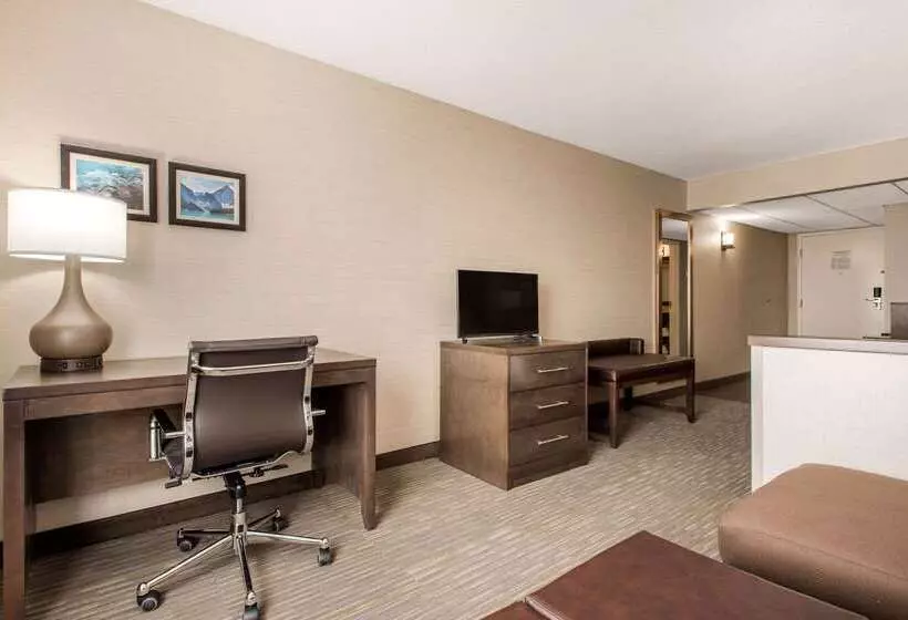 酒店 Comfort Inn & Suites